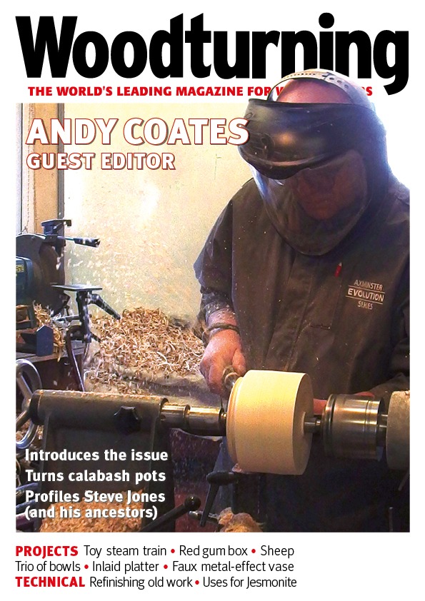 Woodturning 376 Cover