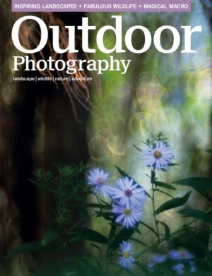 321 Cover