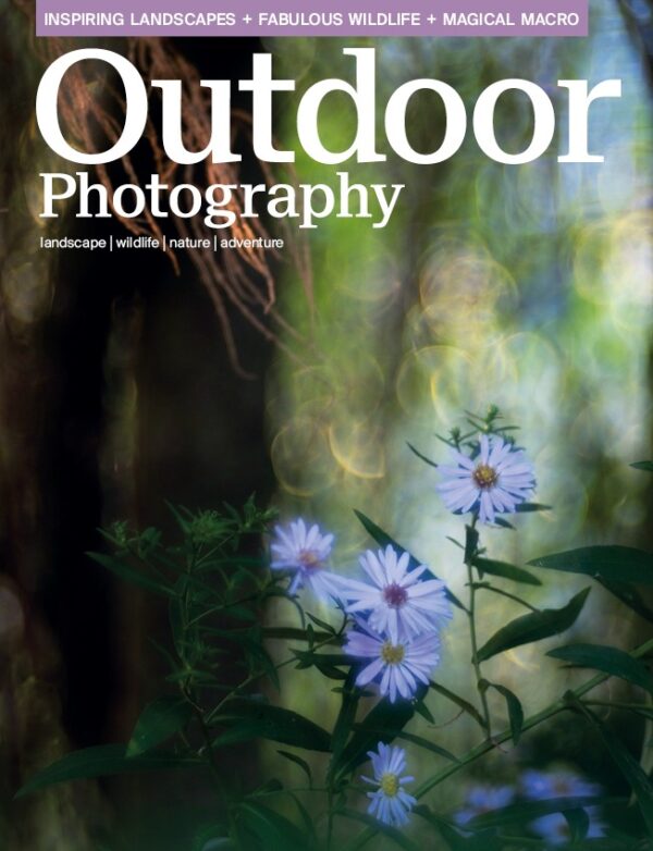 321 Cover